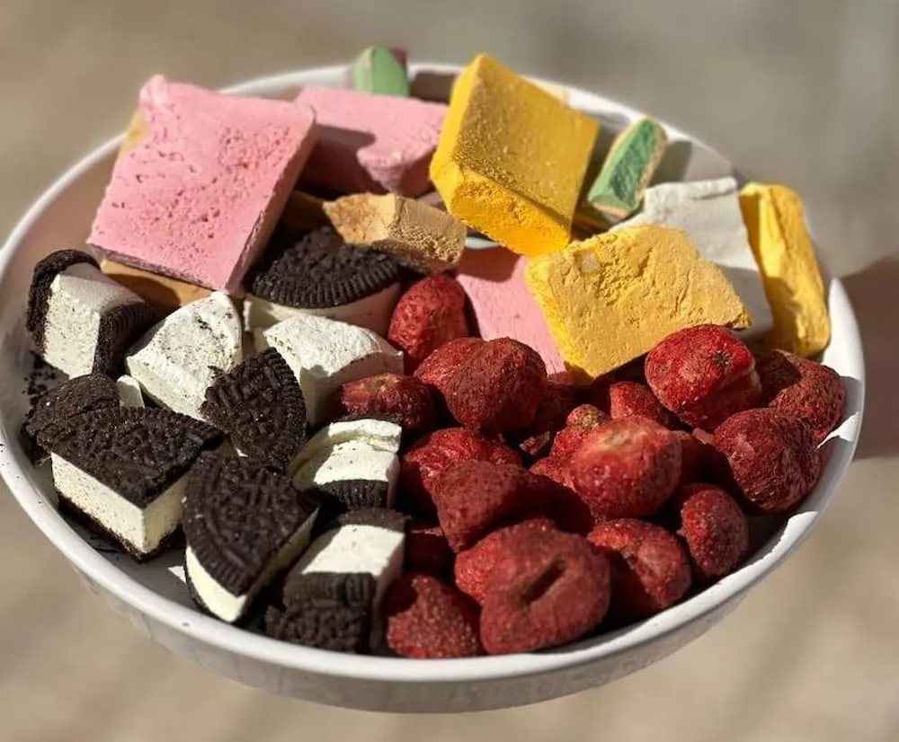 خرید و قیمت روز بستنی خشک میوه ای