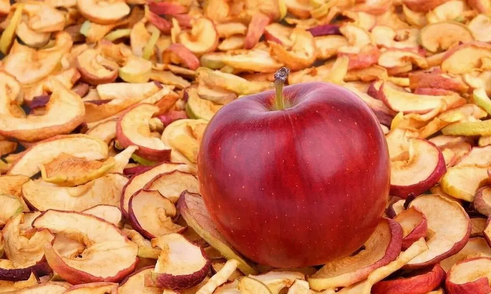قیمت خرید سیب خشک قرمز + طرز تهیه